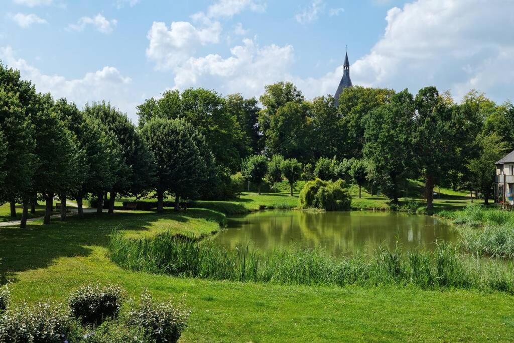 Maison Centre De Bellegarde Avec Jardin Et Terrasse Equipee D'Un Salon De Jardin Et D'Un Barbecue Cuisine Equipee 3 Chambres Avec 2 Lits Double 140X190 Et 2 Lits Simple Chauffage Poele A Granules Parking Gratuit Devant La Maison Bellegarde-du-Loiret Exteriér fotografie